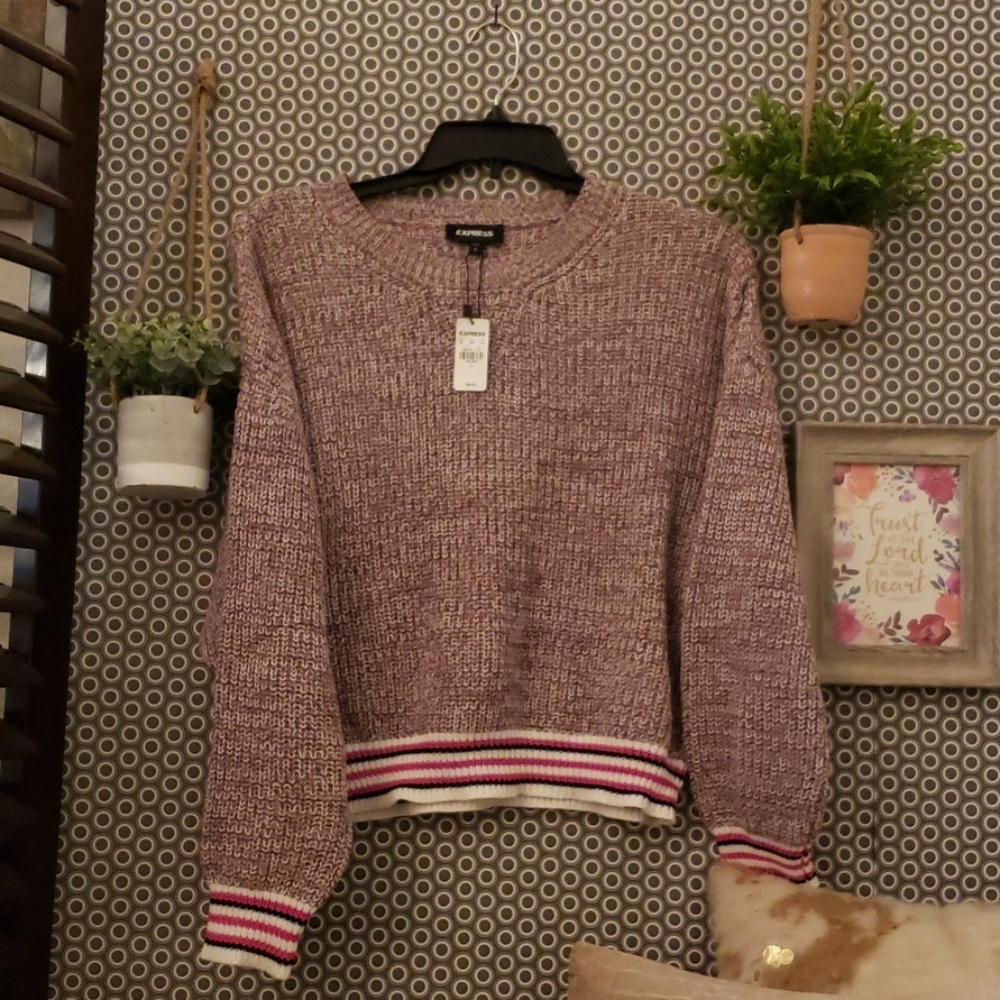 Pink Express sweater